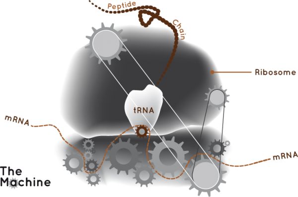 RNA History « RNA Biology